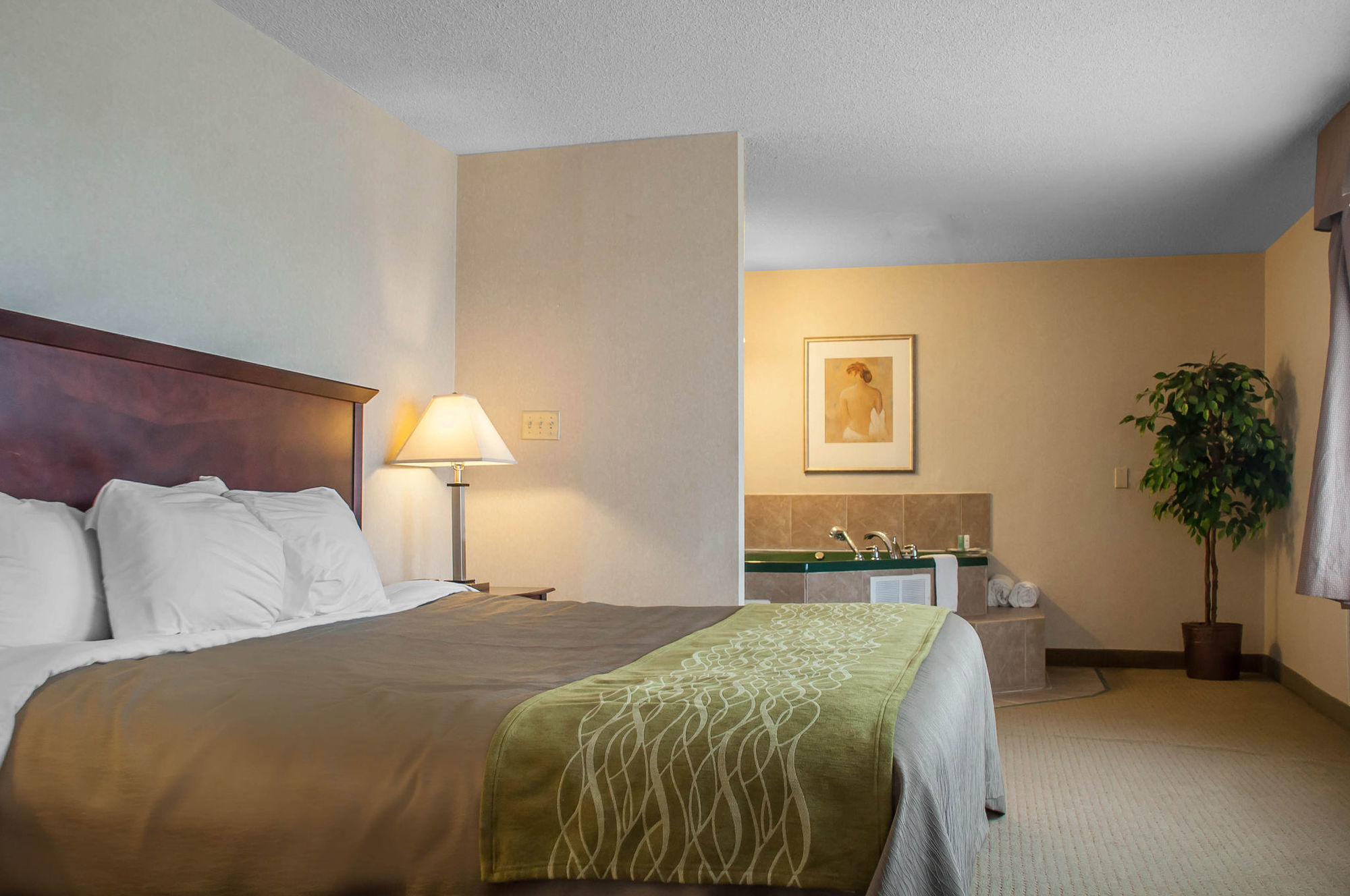 Comfort Inn & Suites Барри Номер фото